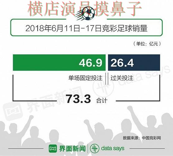 世界杯投注网站大全解析报告：数据分析与实际体验总结 - 世界杯赛事中心